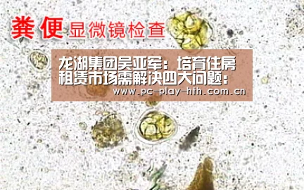 龙湖集团吴亚军：培育住房租赁市场需解决四大问题：华体会官网(图1)