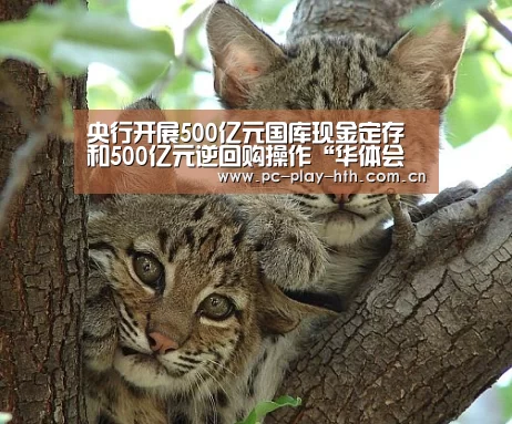 央行开展500亿元国库现金定存和500亿元逆回购操作“华体会官网”(图1) 华体会app