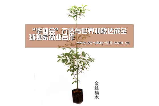“华体会”万达与世界羽联达成全球独家商业合作(图1) 华体会app